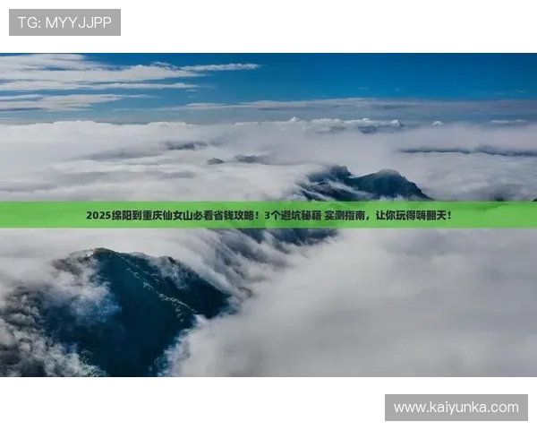 球类应用平台对比评测避坑指南防骗推荐 球类应用平台对比评测避坑指南防骗推荐